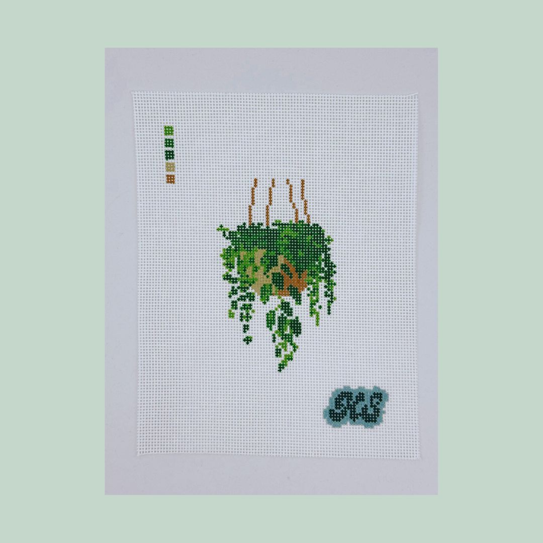 hanging plant (pre-order)