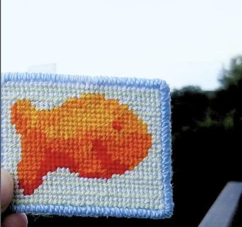 goldfish