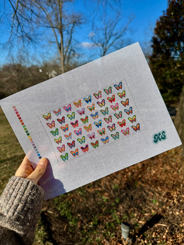 butterfly show (pre-order)