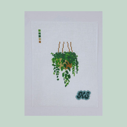 hanging plant (pre-order)